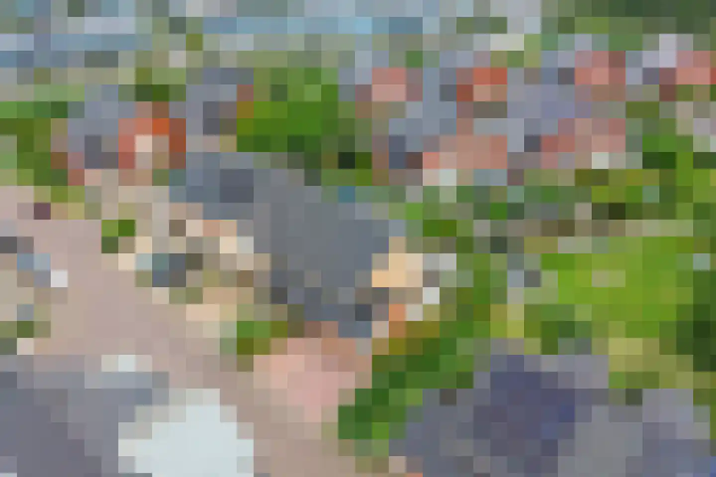 Raoul Wallenbergborg 12 Schiedam thumbnail 43