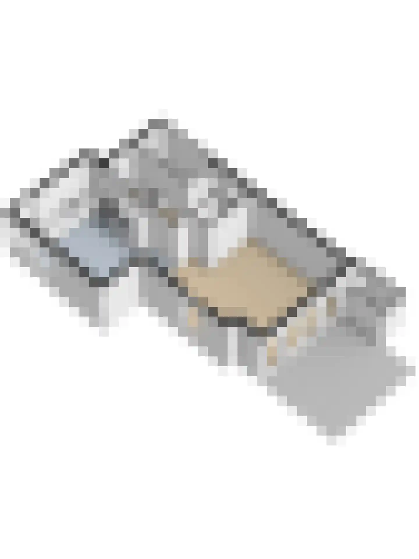 Raoul Wallenbergborg 12 Schiedam thumbnail 52