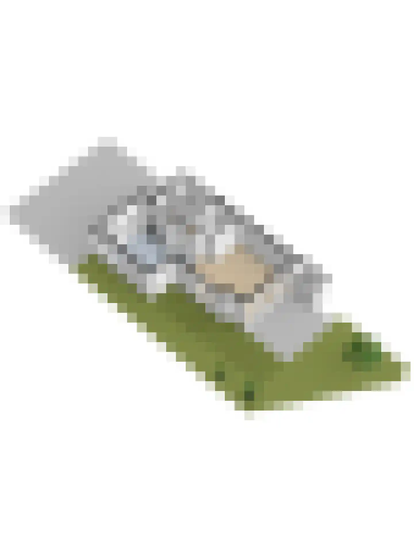 Raoul Wallenbergborg 12 Schiedam thumbnail 55