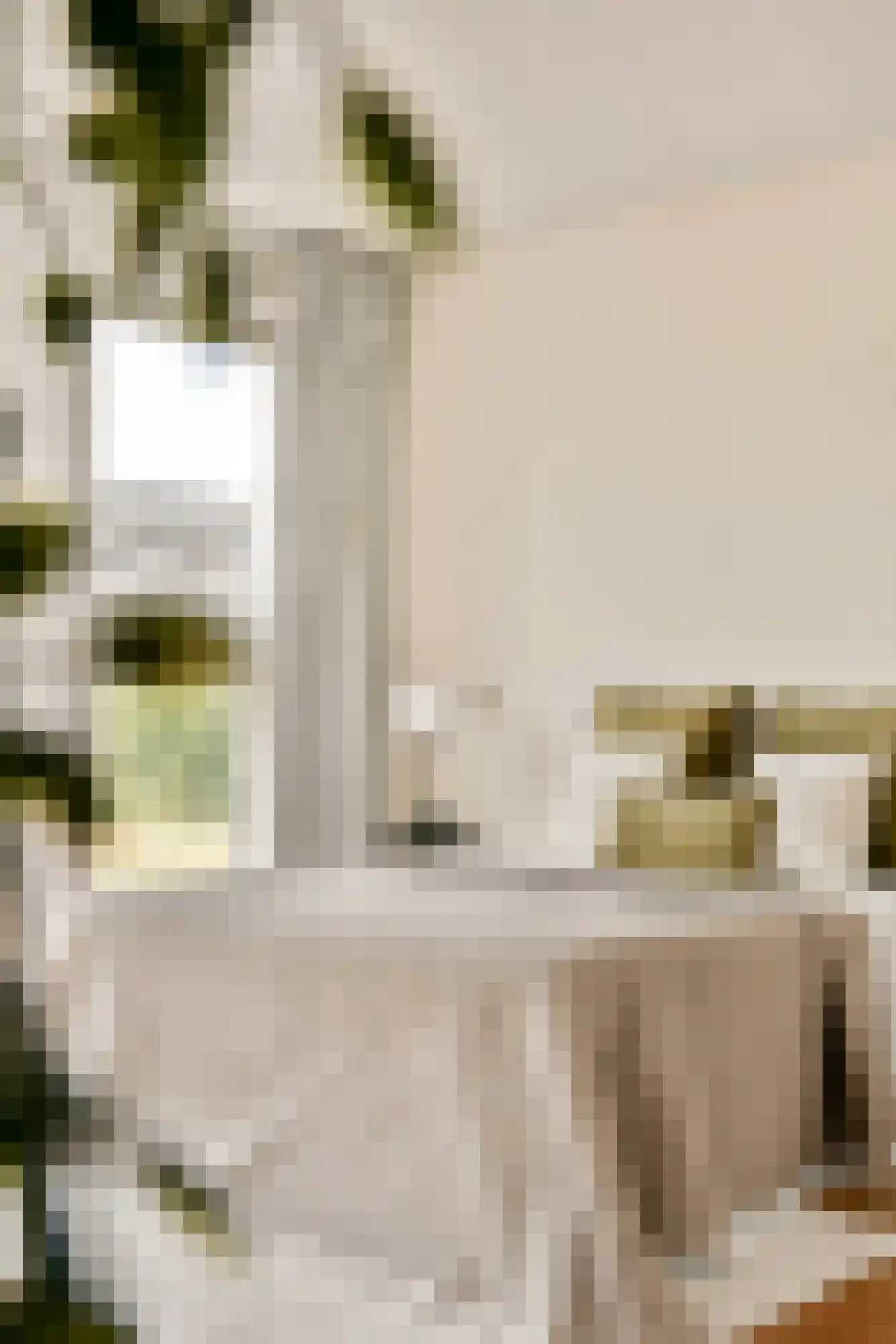 Raoul Wallenberghofje 6 Amsterdam thumbnail 17