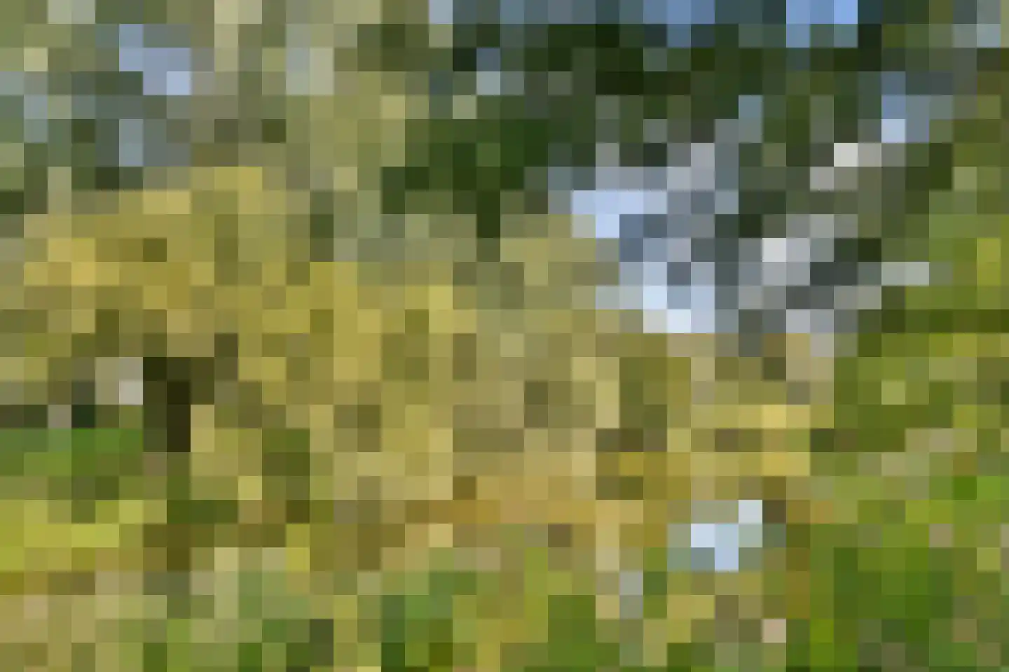 Raoul Wallenberghofje 6 Amsterdam thumbnail 35