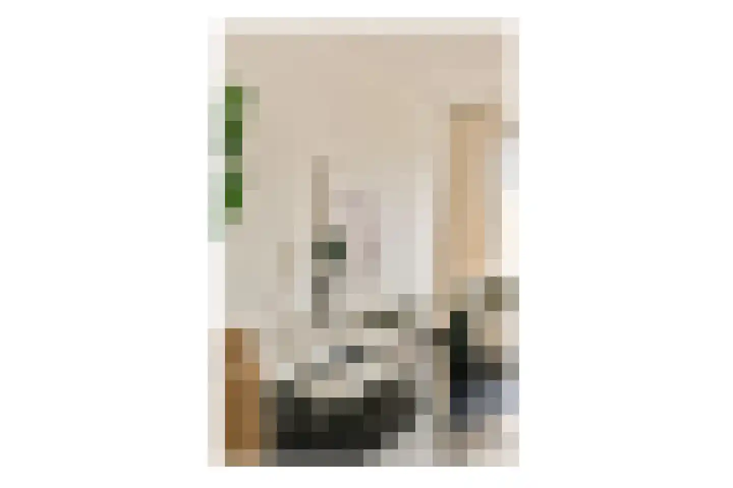 Raoul Wallenberghofje 6 Amsterdam thumbnail 5