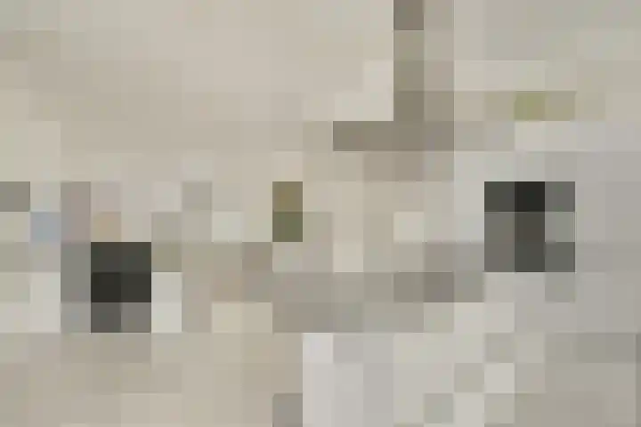 Raoul Wallenberghofje 8 Amsterdam thumbnail 12