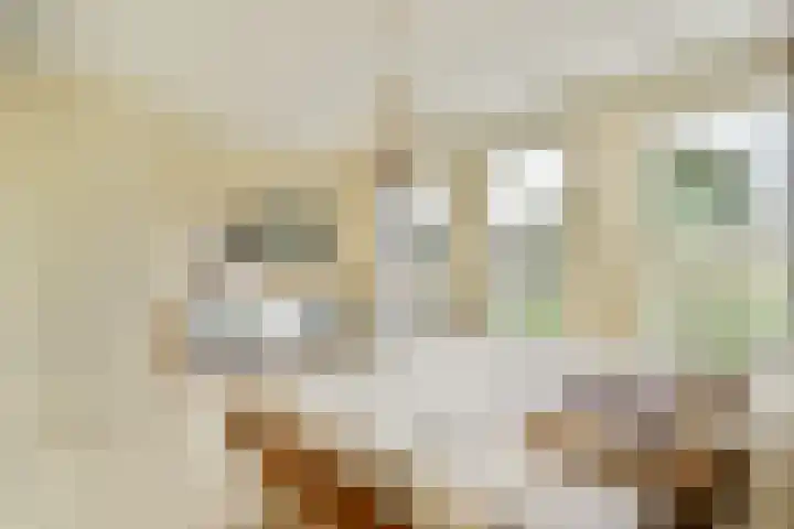 Raoul Wallenberghofje 8 Amsterdam thumbnail 14