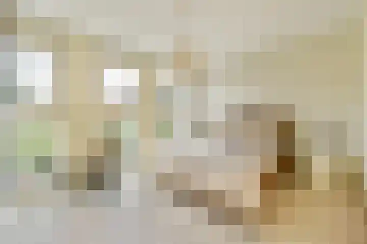 Raoul Wallenberghofje 8 Amsterdam thumbnail 16
