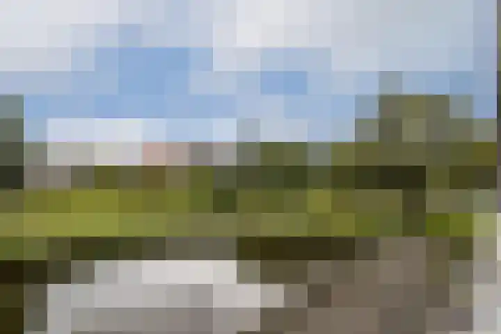 Raoul Wallenberghofje 8 Amsterdam thumbnail 18