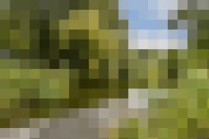 Raoul Wallenberghofje 8 Amsterdam thumbnail 32