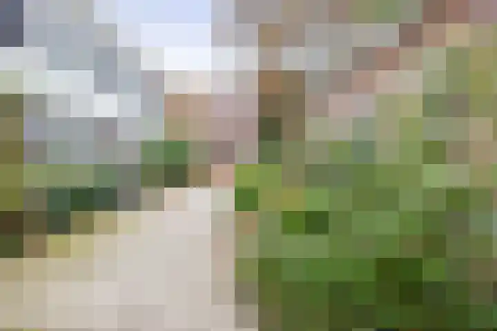 Raoul Wallenbergplantsoen 9 Gouda thumbnail 4