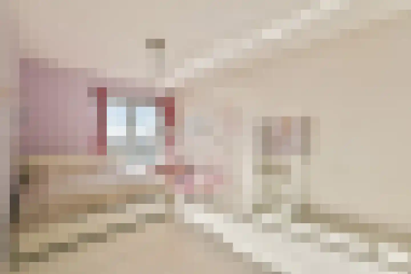 Raoul Wallenbergstraat 175 Amsterdam thumbnail 16