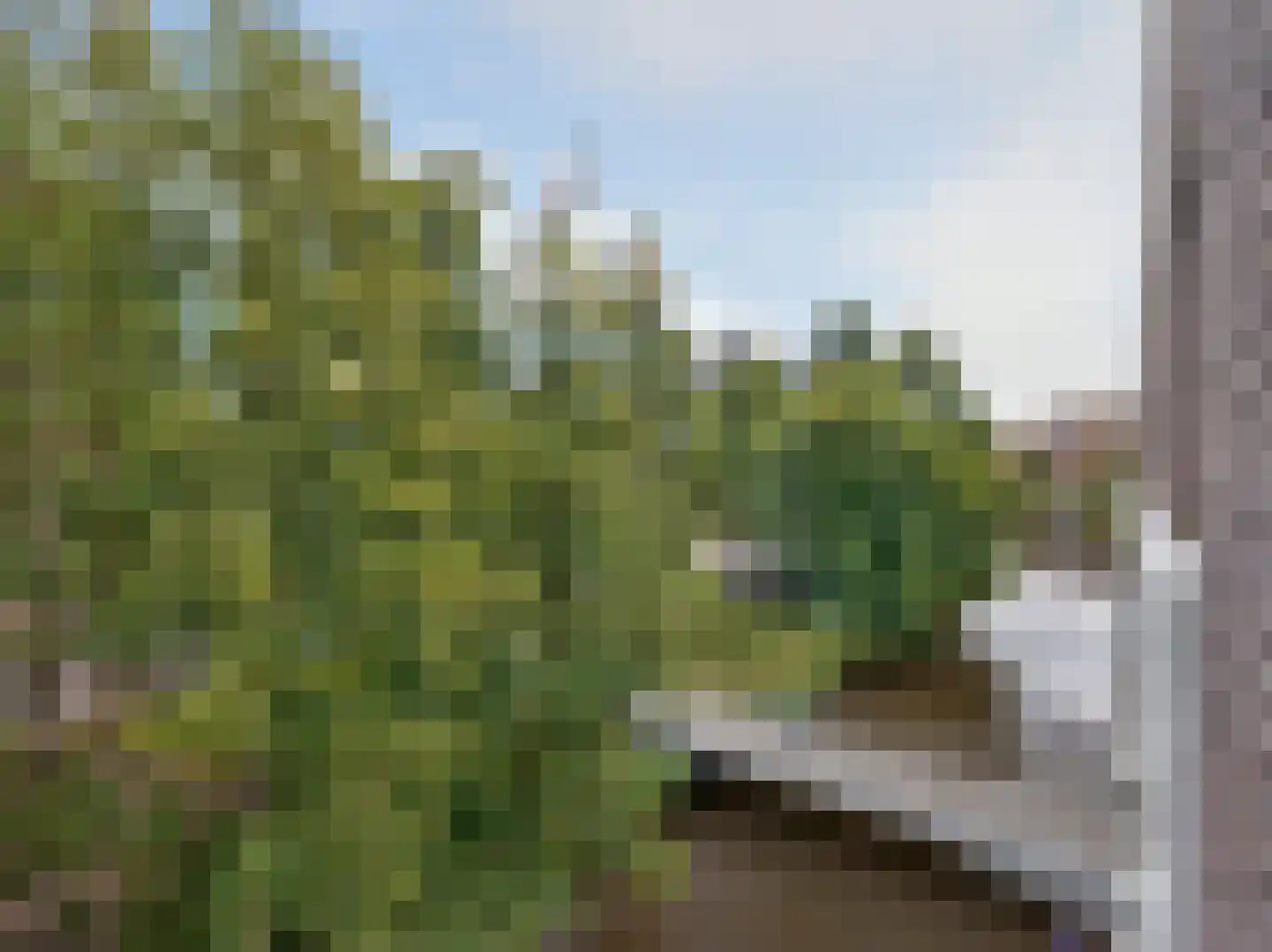 Raoul Wallenbergstraat 35 Amsterdam thumbnail 35