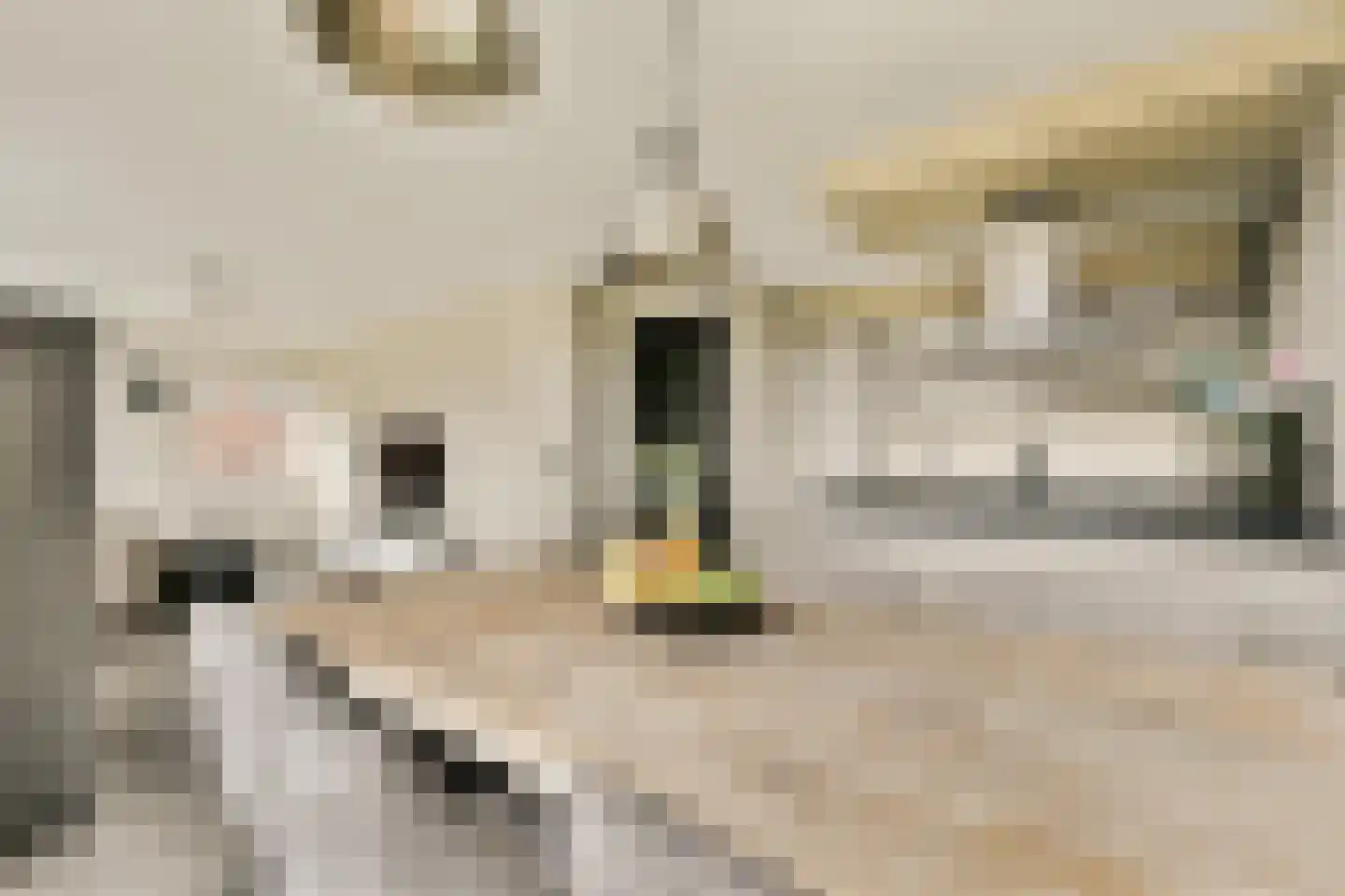 Raoul Wallenbergstraat 97 Amsterdam thumbnail 6
