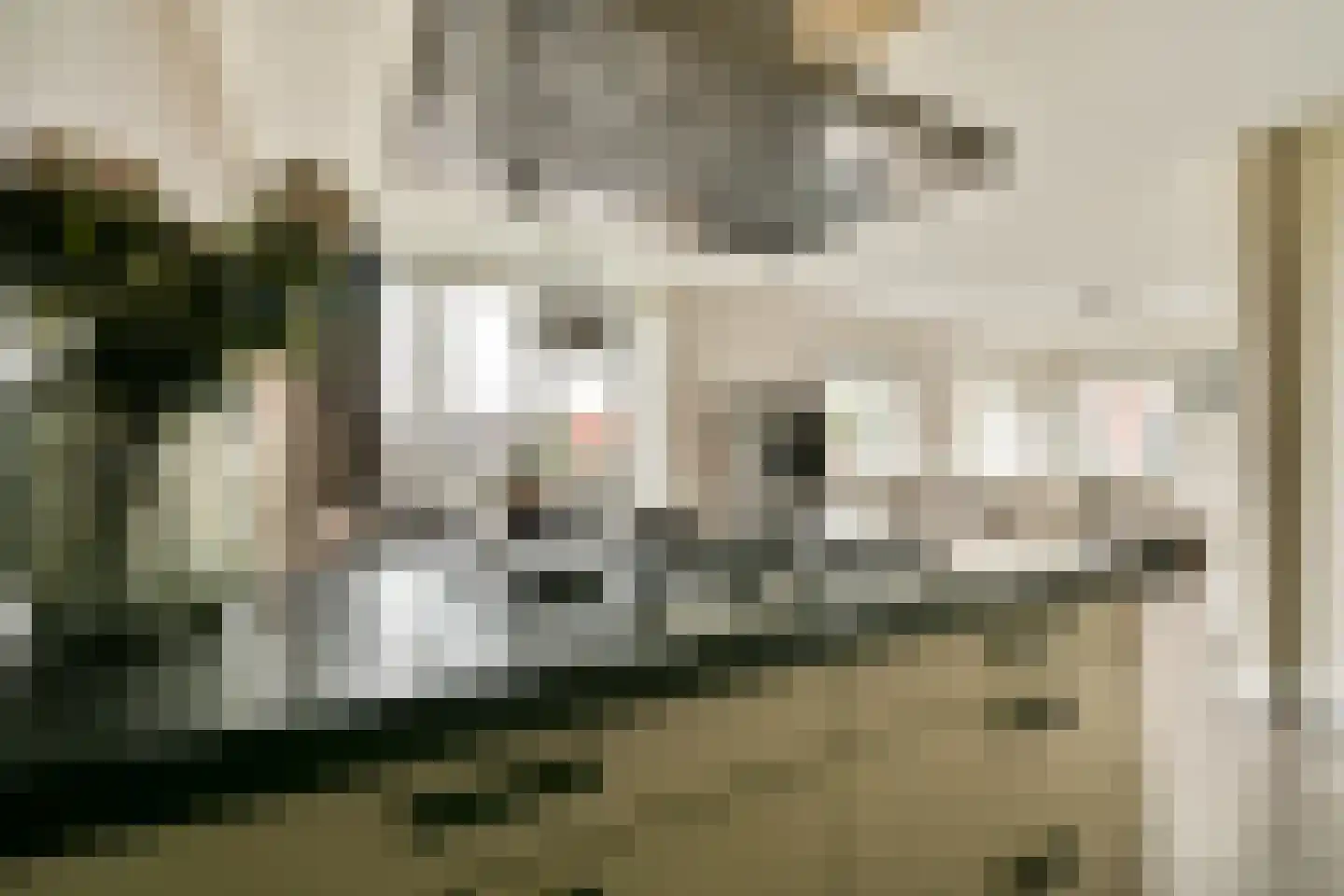 Raoul Wallenbergstraat 97 Amsterdam thumbnail 8