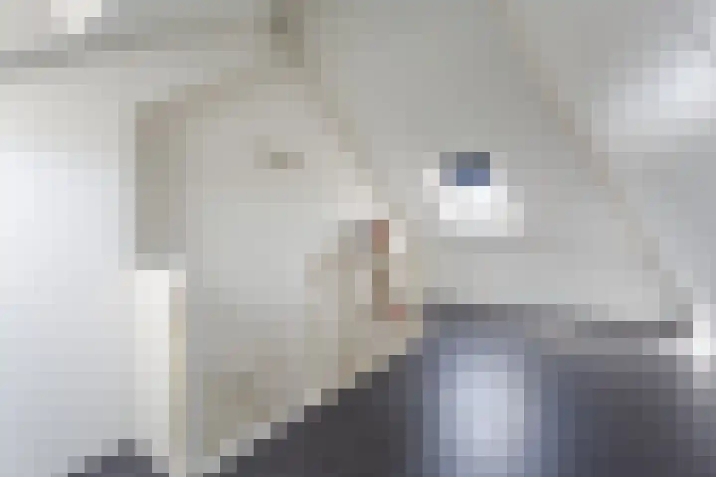 Rapdreef 1 Harderwijk thumbnail 33