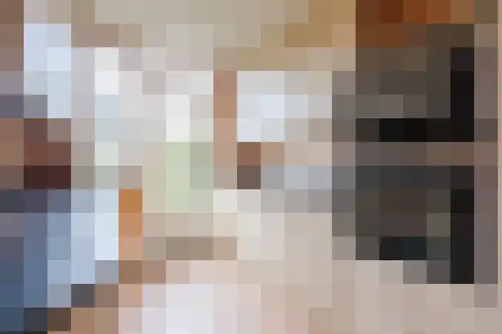 Rapelenburglaan 32 Eindhoven thumbnail 11