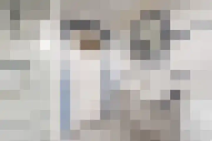 Rapelenburglaan 32 Eindhoven thumbnail 21