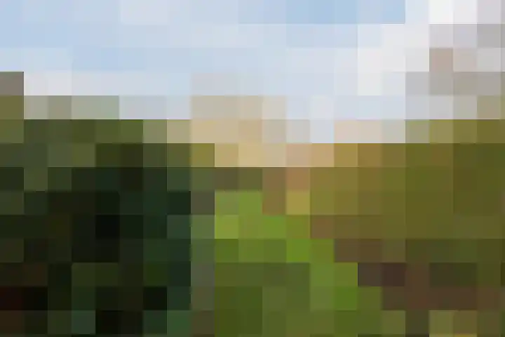 Rapelenburglaan 32 Eindhoven thumbnail 27