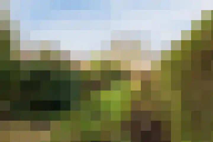 Rapelenburglaan 32 Eindhoven thumbnail 28
