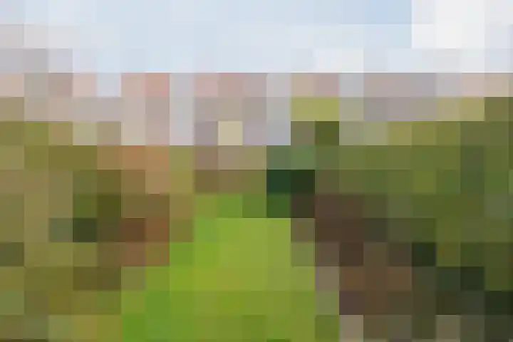 Rapelenburglaan 32 Eindhoven thumbnail 29