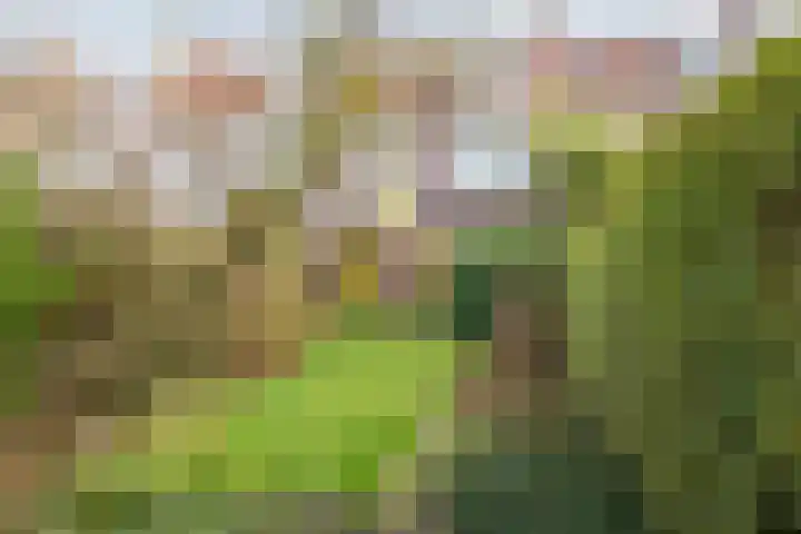 Rapelenburglaan 32 Eindhoven thumbnail 30