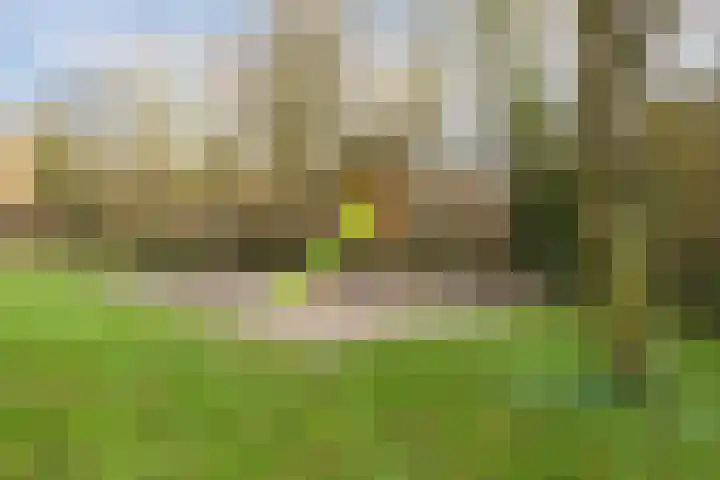 Rapelenburglaan 32 Eindhoven thumbnail 34