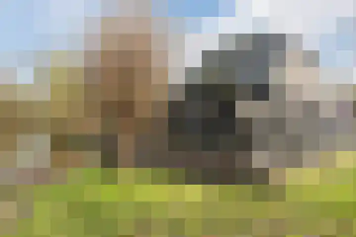 Rapelenburglaan 32 Eindhoven thumbnail 35
