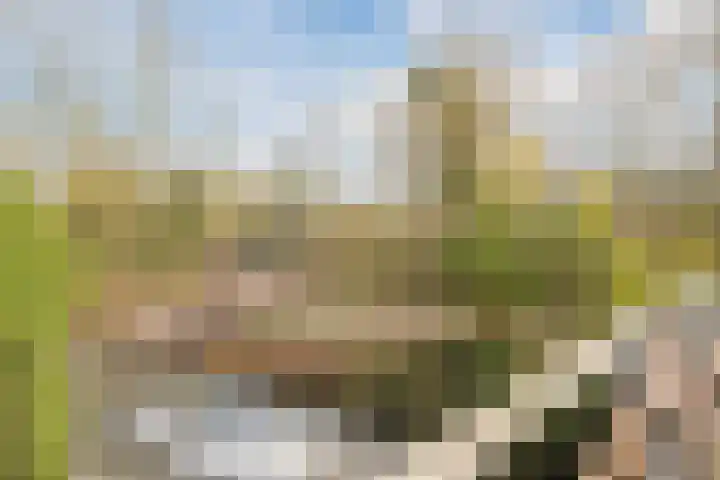 Rapelenburglaan 32 Eindhoven thumbnail 36
