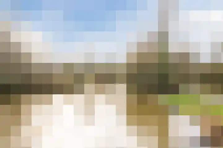 Rapelenburglaan 32 Eindhoven thumbnail 37