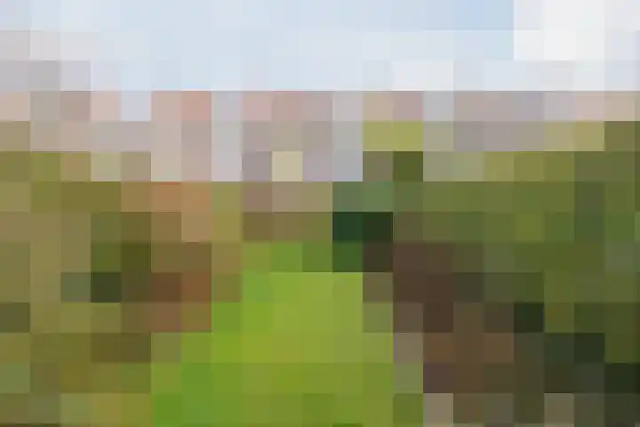 Rapelenburglaan 32 Eindhoven thumbnail 4