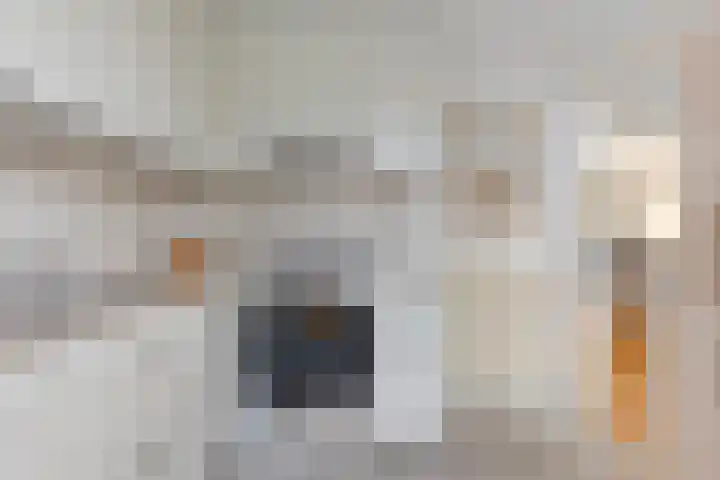 Rapelenburglaan 6 Eindhoven thumbnail 13