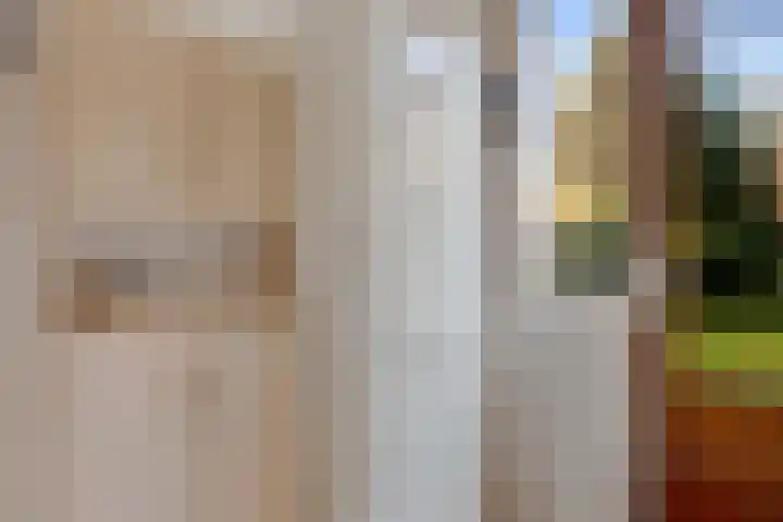 Rapelenburglaan 6 Eindhoven thumbnail 15