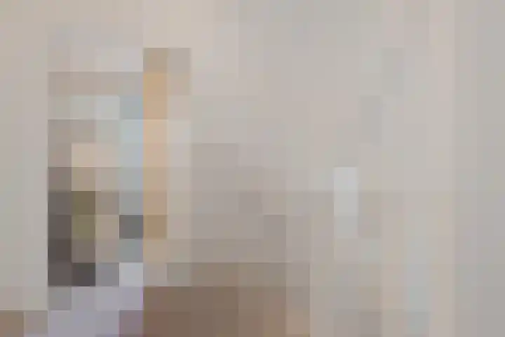 Rapelenburglaan 6 Eindhoven thumbnail 23