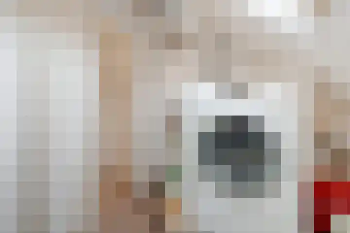 Rapelenburglaan 6 Eindhoven thumbnail 24