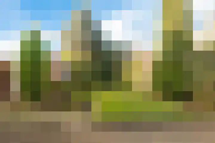Rapelenburglaan 6 Eindhoven thumbnail 29