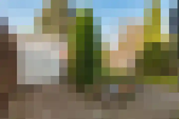 Rapelenburglaan 6 Eindhoven thumbnail 31