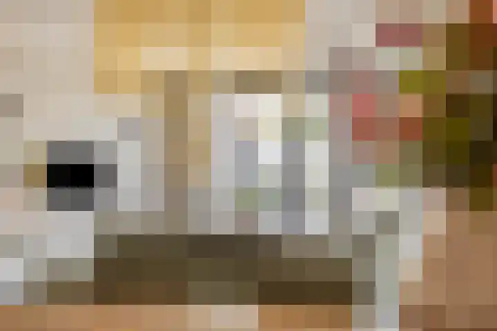 Rapella 6 Berkel-Enschot thumbnail 11