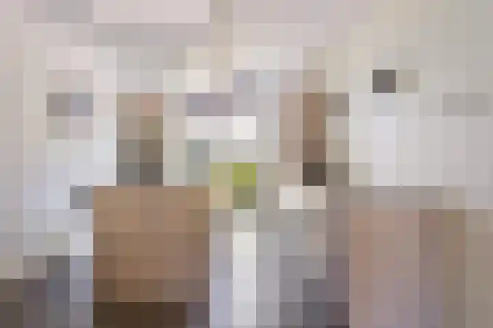 Rapella 6 Berkel-Enschot thumbnail 12