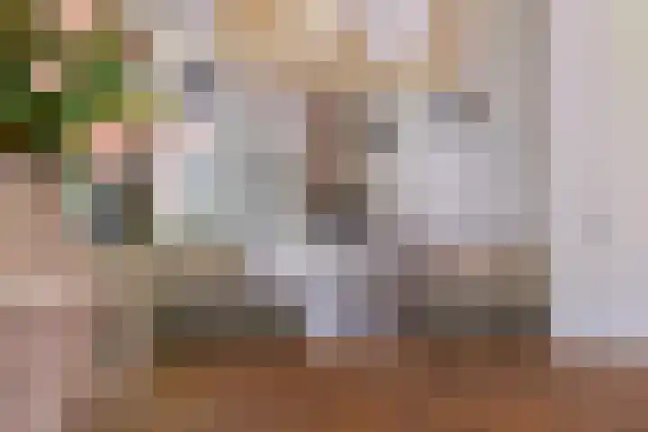 Rapella 6 Berkel-Enschot thumbnail 16