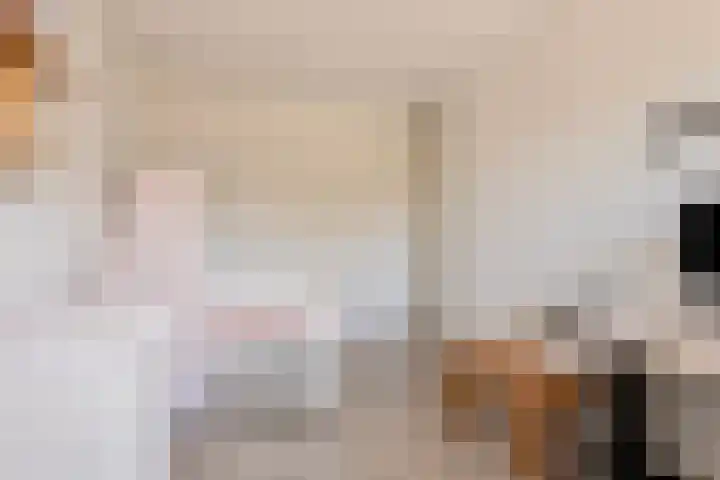 Rapella 6 Berkel-Enschot thumbnail 28