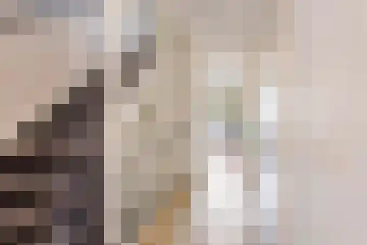 Rapella 6 Berkel-Enschot thumbnail 31