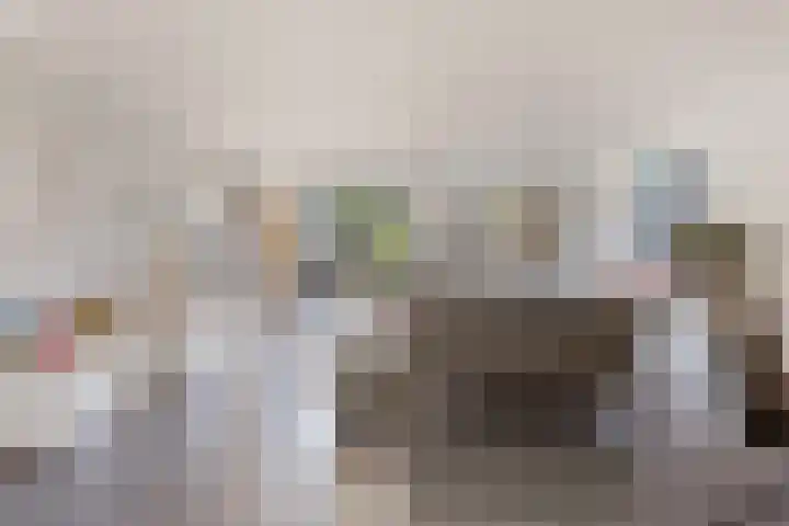 Rapella 6 Berkel-Enschot thumbnail 4