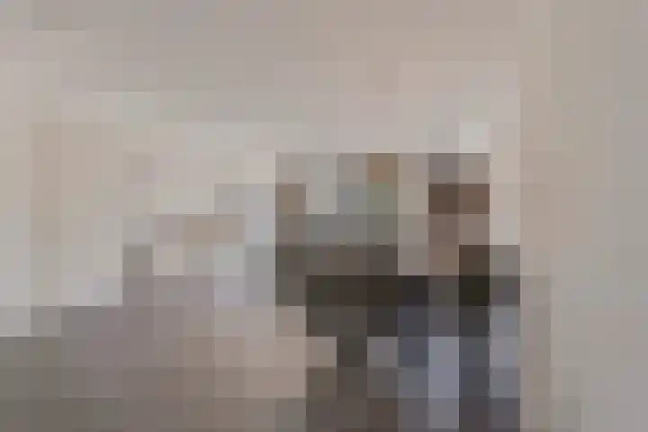 Rapella 6 Berkel-Enschot thumbnail 9