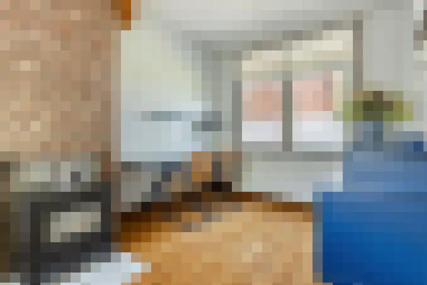 Rapenburg 1 a Vogelwaarde thumbnail 10
