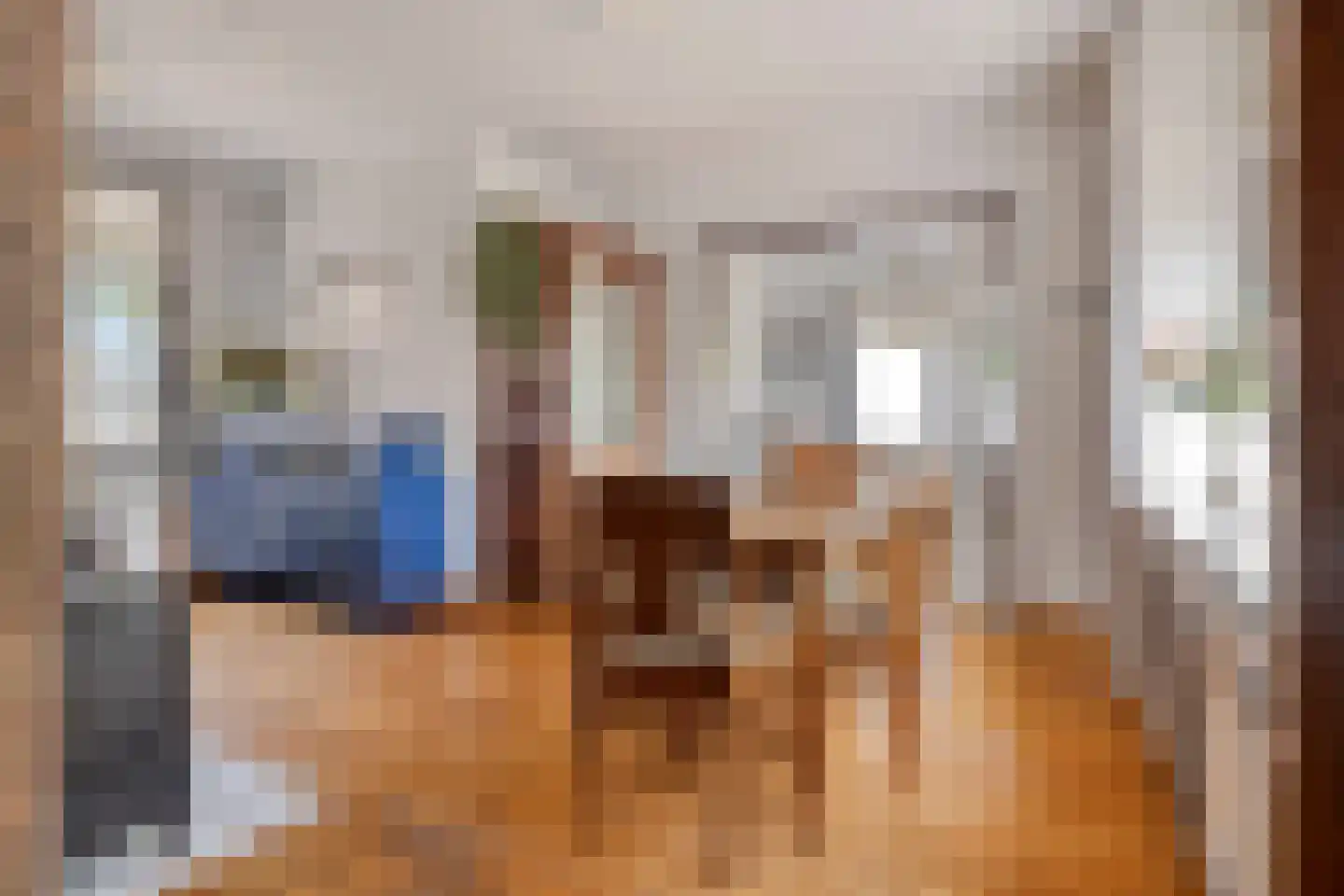 Rapenburg 1 a Vogelwaarde thumbnail 11