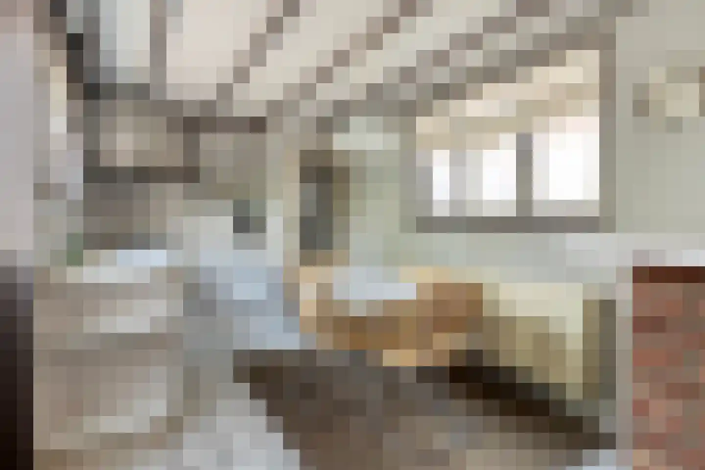Rapenburg 1 a Vogelwaarde thumbnail 12