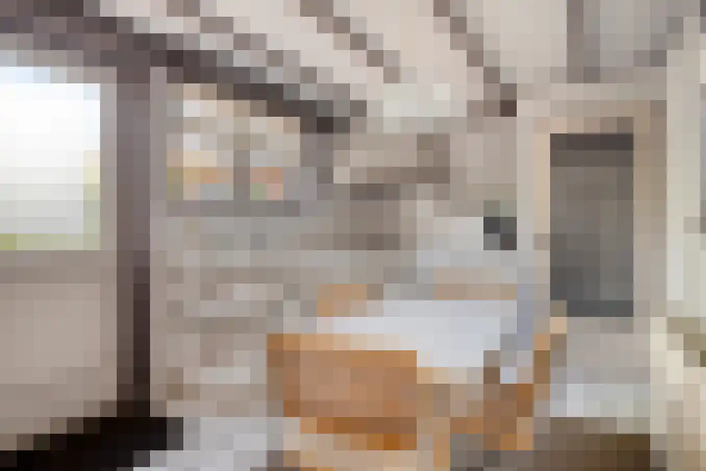 Rapenburg 1 a Vogelwaarde thumbnail 13