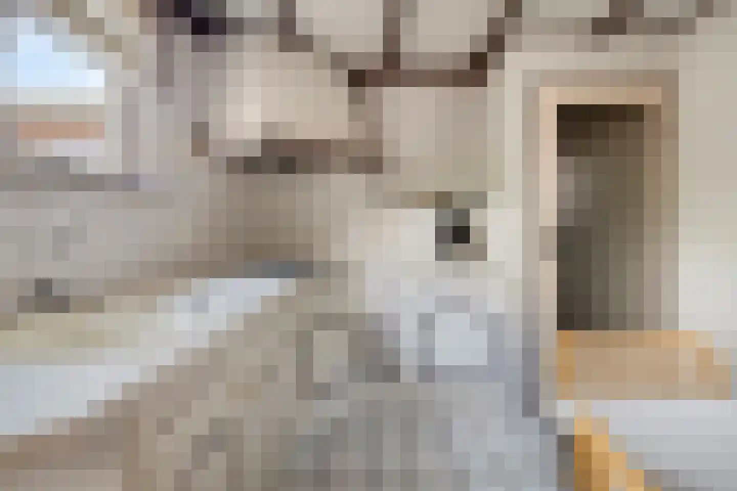 Rapenburg 1 a Vogelwaarde thumbnail 14