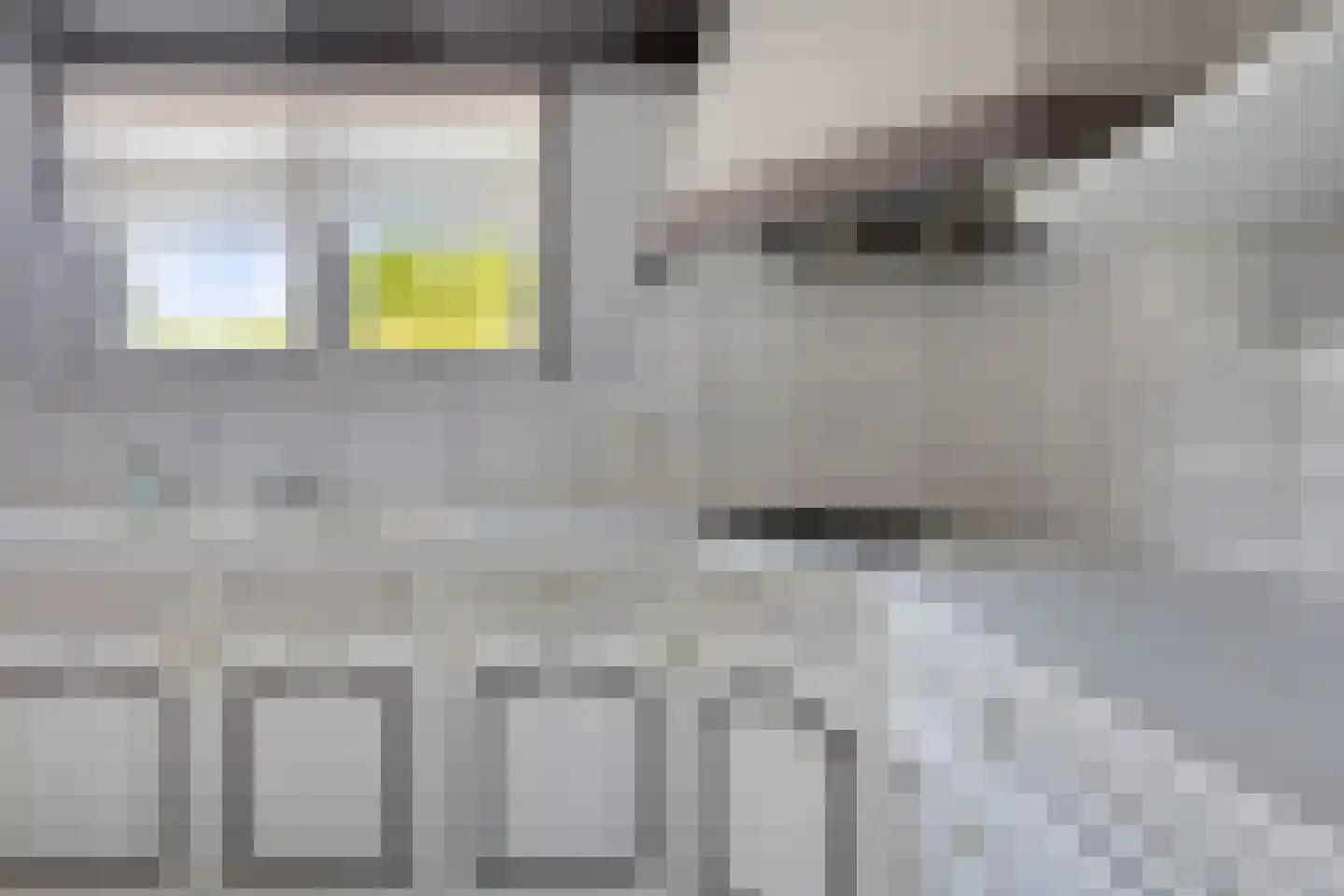 Rapenburg 1 a Vogelwaarde thumbnail 15