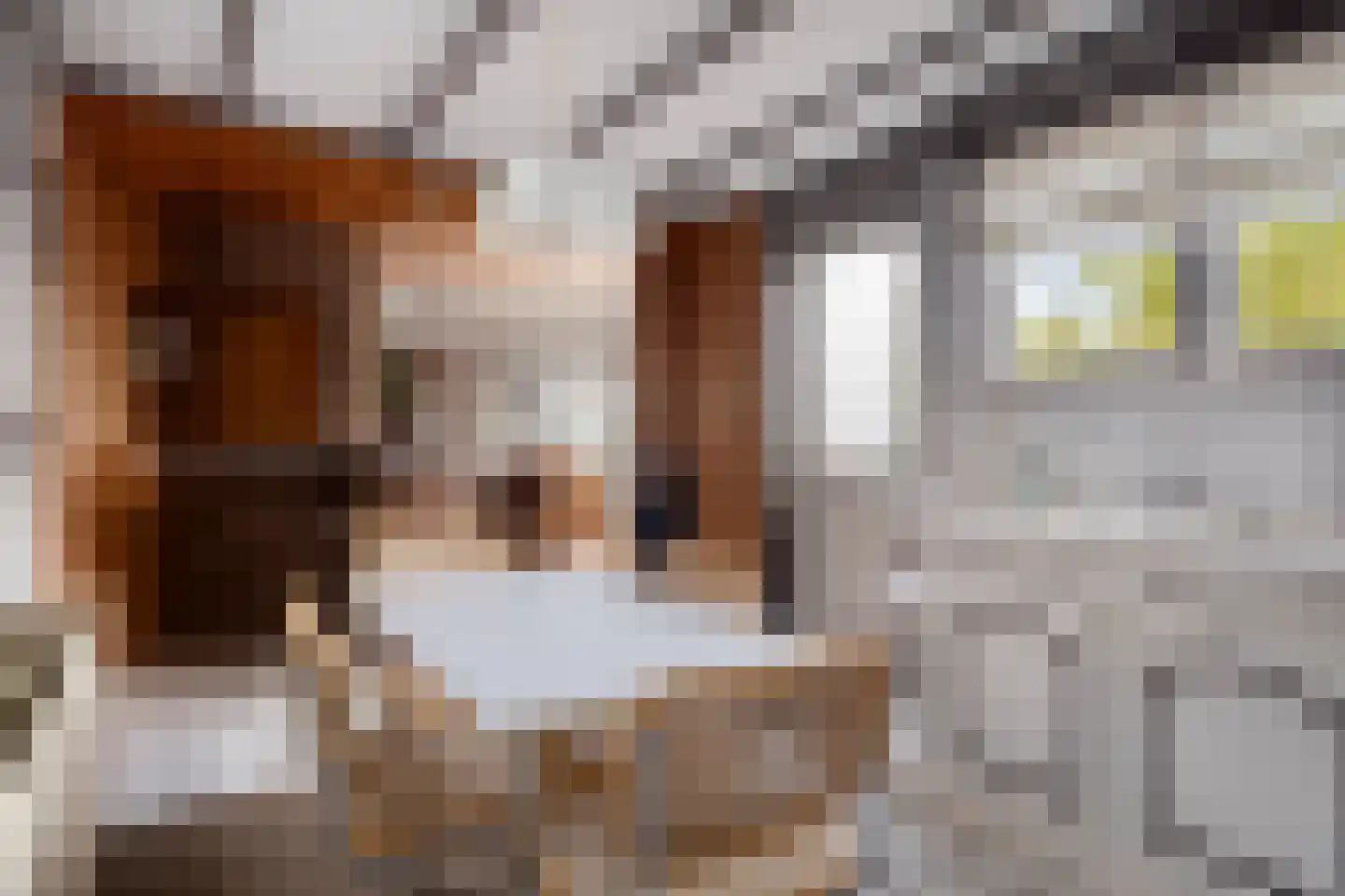 Rapenburg 1 a Vogelwaarde thumbnail 16