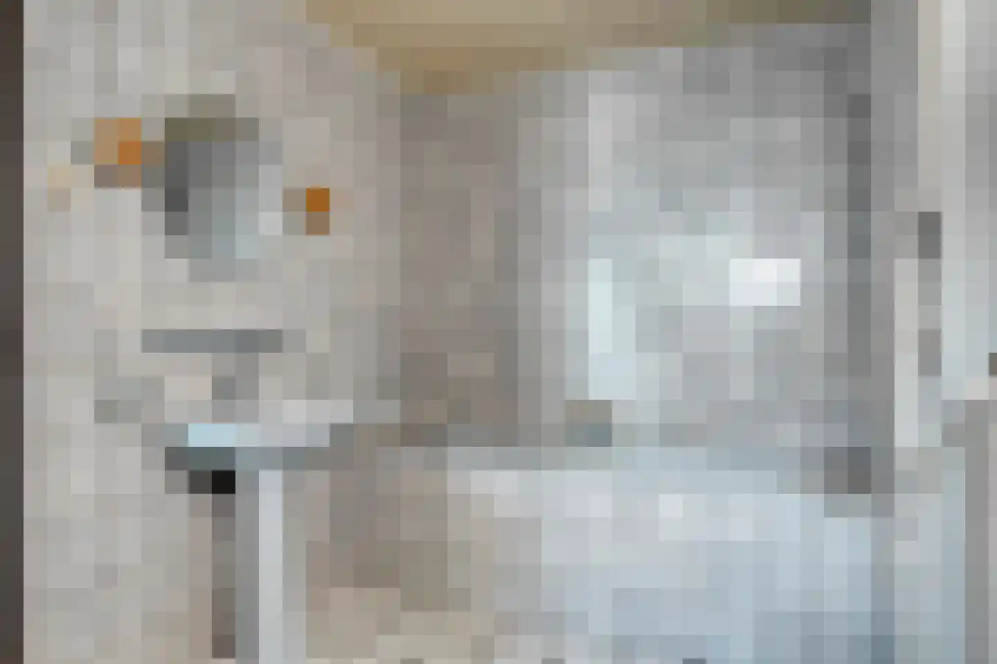 Rapenburg 1 a Vogelwaarde thumbnail 18