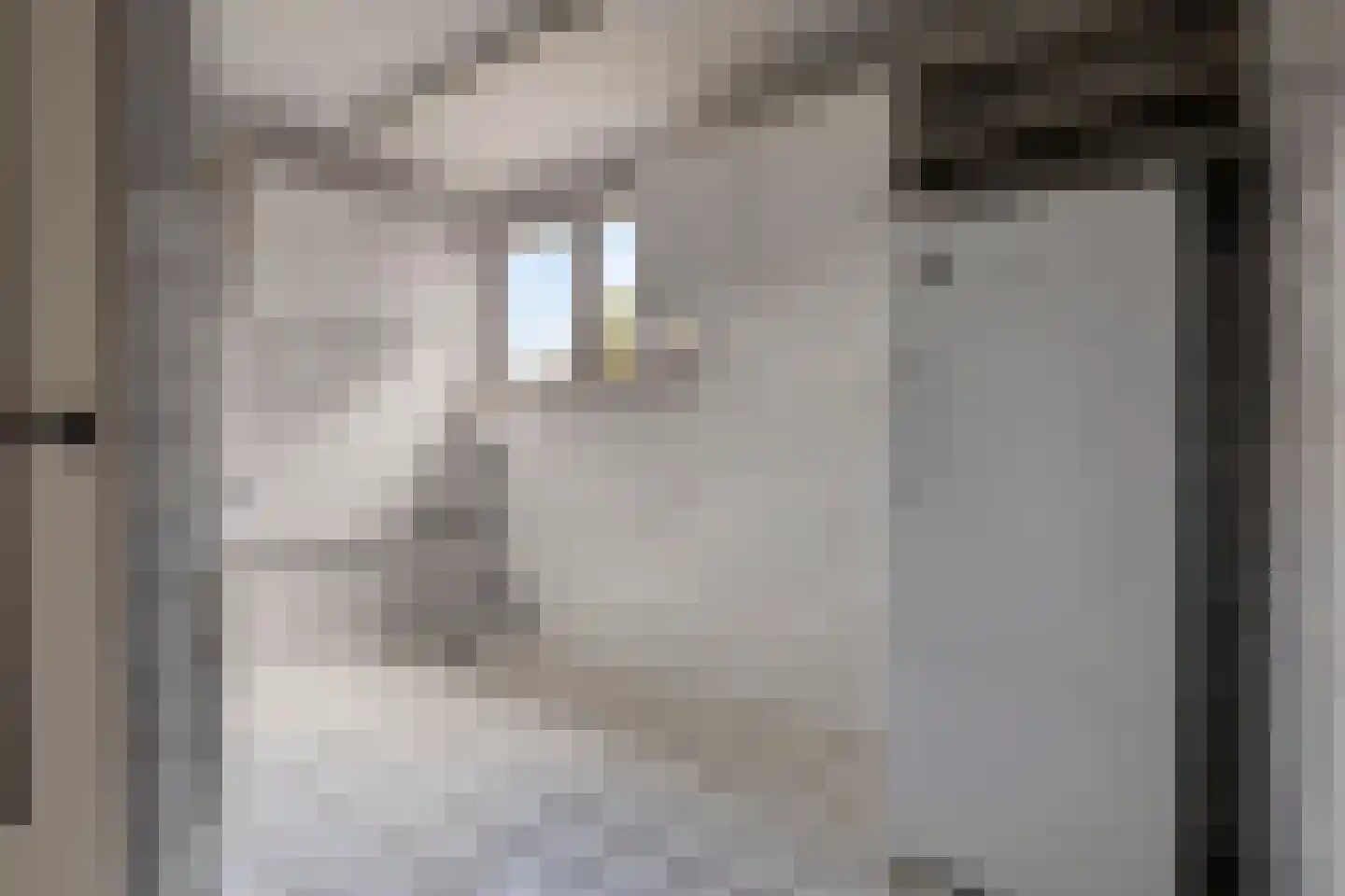 Rapenburg 1 a Vogelwaarde thumbnail 20